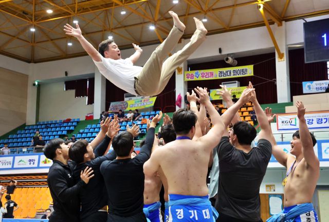 23일 충북 제천실내체육관에서 열린 제79회 전국씨름선수권대회 대학부 단체전서 5연패를 달성한 경기대 선수들이 홍성태 감독을 헹가래치며 우승의 기쁨을 만끽하고 있다.대한씨름협회 제공