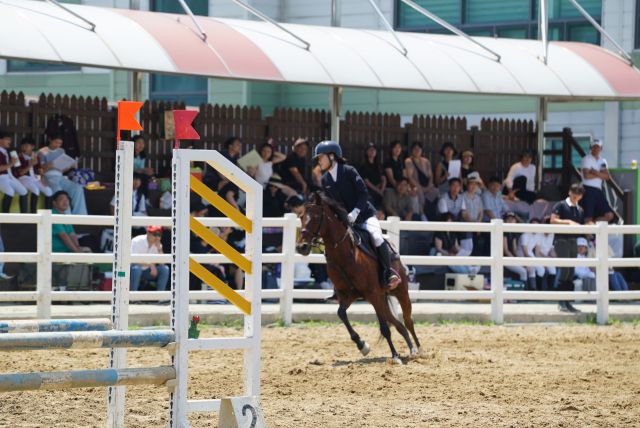 제1회 양주시승마협회장배 승마대축전 장애물경기에 출전한 선수가 기량을 뽐내고 있다. 양주시승마협회 제공