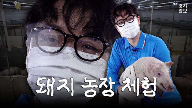 허약체 돼지농장 썸네일