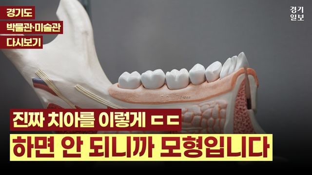 KakaoTalk_20250627_084100401_01