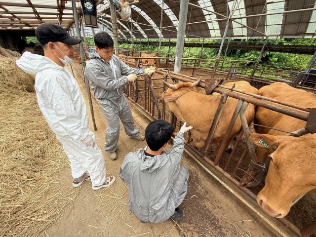 가평군 여름철 동물의료원 본격 운영,,,가츅 피해 최소화
