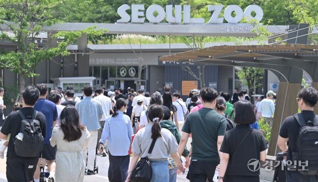 투표후 휴일을 즐기는 시민들 [포토뉴스]