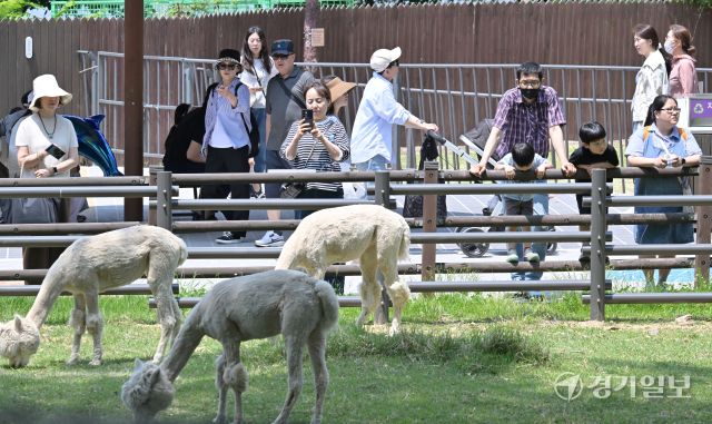 투표후 휴일을 즐기는 시민들 [포토뉴스]