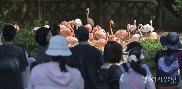 투표후 휴일을 즐기는 시민들 [포토뉴스]