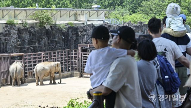 투표후 휴일을 즐기는 시민들 [포토뉴스]