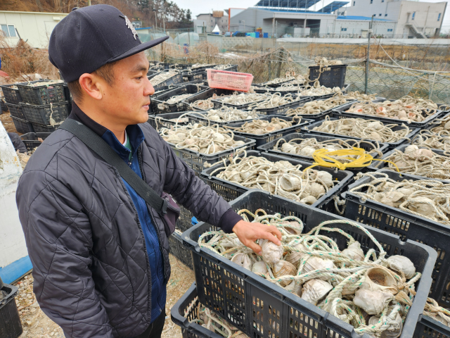 지난 3월 인천 옹진군 영흥도에서 만난 하도근씨(42)가 주꾸미를 잡는 데 쓰는 ‘소라방’을 살펴보고 있다. 황남건기자