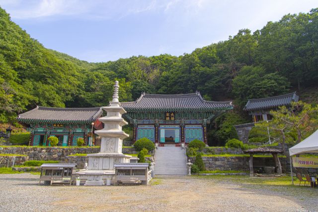 용인 백련사 전경. 경기도관광공사 제공