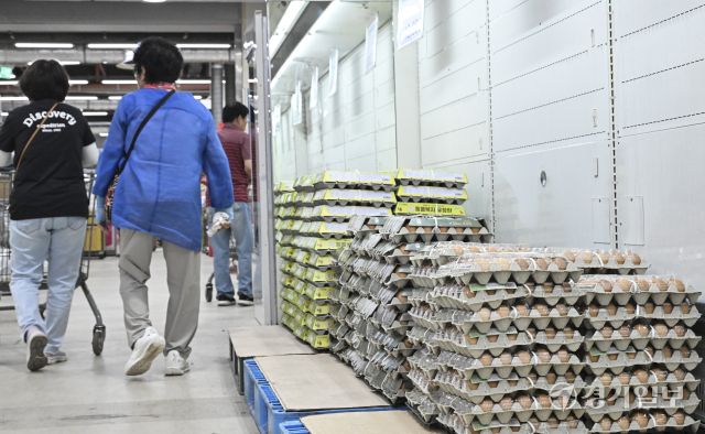 오는 8월까지 계란값 상승세 [포토뉴스]