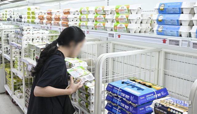 오는 8월까지 계란값 상승세 [포토뉴스]