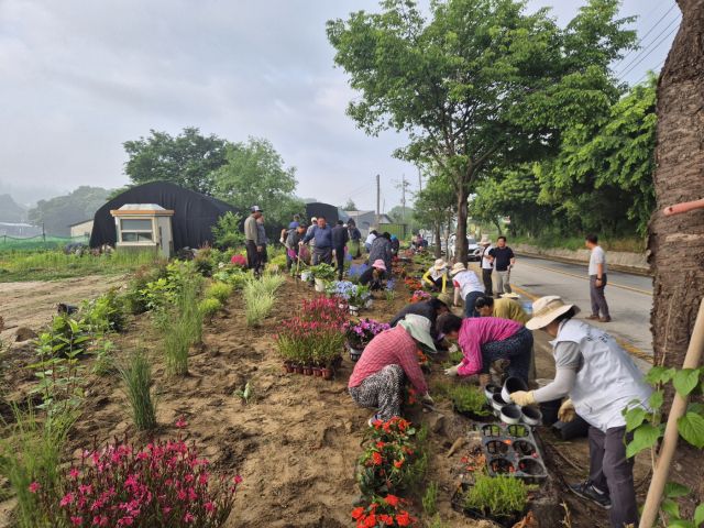 꽃길을 직접 가꾸고 있는 주민자치 위원들 모습. 포천시 제공.
