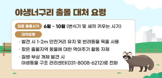 야생너구리 출몰 대처 요령 홍보 포스터. 안양시 제공