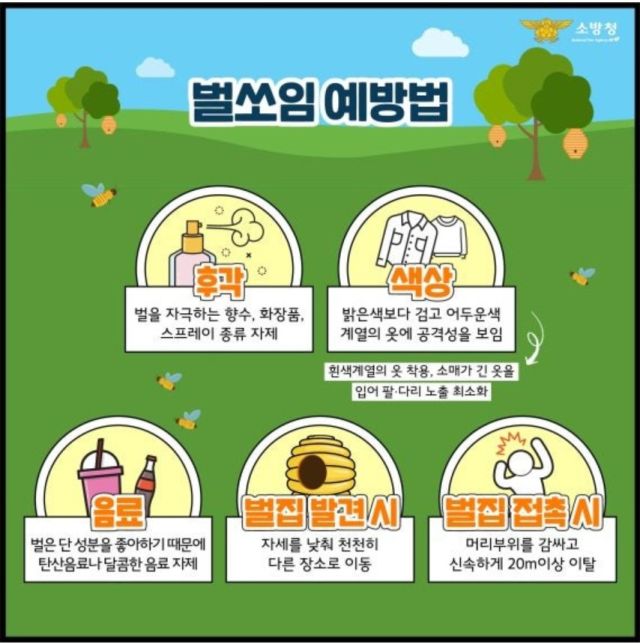 안성소방서가 벌 쏘임 예방 수칙을 안내하고 있는 홍보 전단지.-안성소방서 제공-
