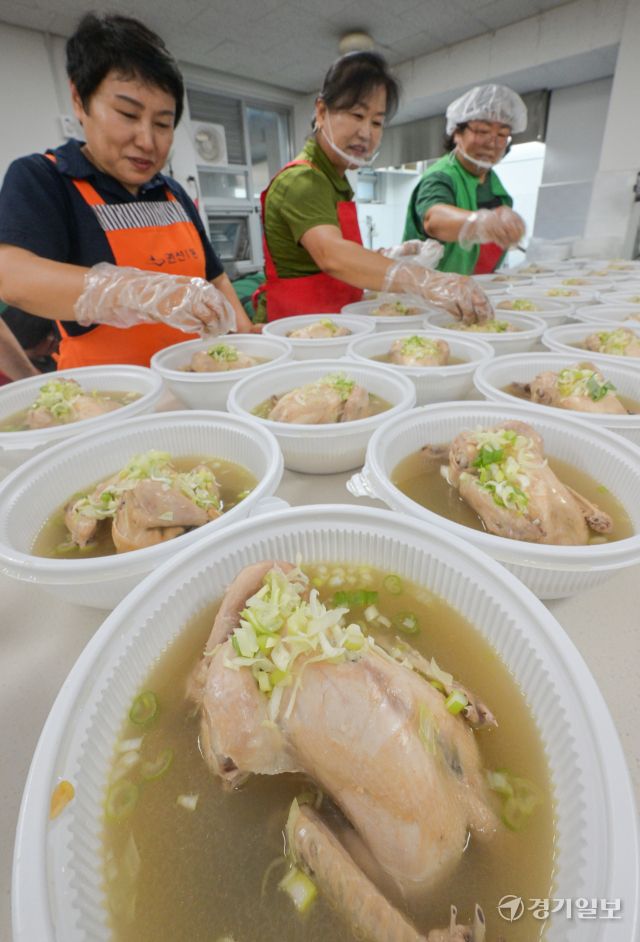 초복을 닷새 앞둔 15일 오전 수원특례시 권선구 권선1동 행정복지센터에서 새마을부녀회원들이 지역 어르신께 전달할 삼계탕을 만들고 있다. 새마을지도자협의회, 새마을부녀회, 새마을문고 3개 단체는 이날 총 120여 마리의 삼계탕을 만들어 정을 나눴다. 윤원규기자
