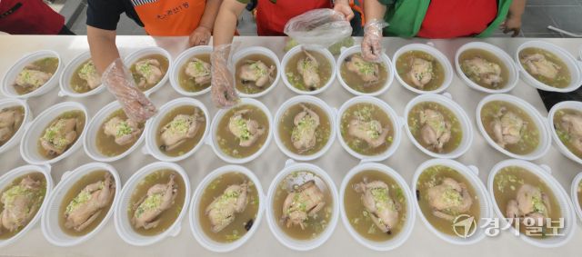 초복을 닷새 앞둔 15일 오전 수원특례시 권선구 권선1동 행정복지센터에서 새마을부녀회원들이 지역 어르신께 전달할 삼계탕을 만들고 있다. 새마을지도자협의회, 새마을부녀회, 새마을문고 3개 단체는 이날 총 120여 마리의 삼계탕을 만들어 정을 나눴다. 윤원규기자