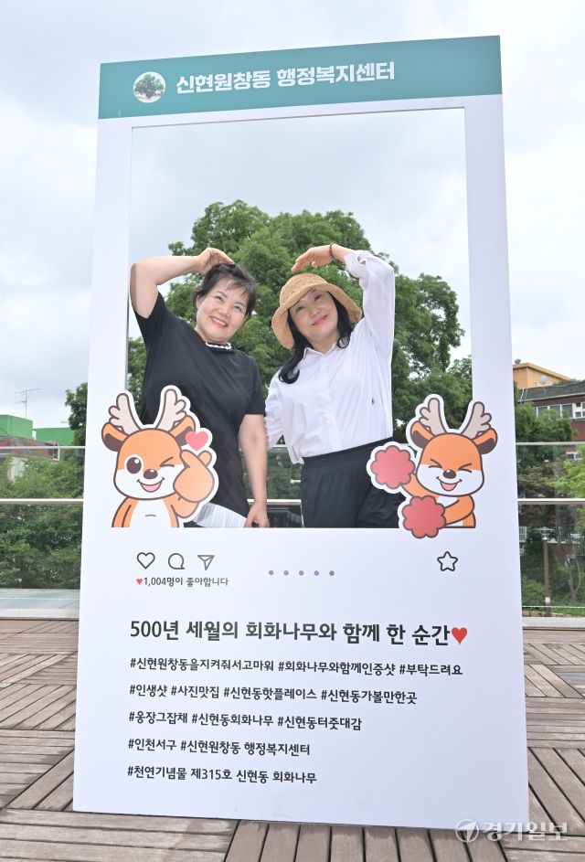 인천 서구, 500여년된 나무를 기리기 위한 신현동 회화나무길 명예도로명 부여 [포토뉴스]