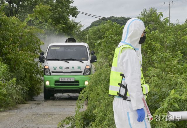 17일 오전 파주시 파평면 한 양돈농가에서 방역 관계자들이 통제 및 소독 작업을 하고 있다. 2천5백여 마리의 돼지를 키우던 이 농장에서는 지난 16일 아프리카 돼지열병(ASF)가 발병이 확인됐다. 방역당국은 곧바로 48시간 동안 파주 및 인접 4개 시·군(연천·양주·김포·고양)의 축산 관계시설 종사자 및 차량에 대해 일시 이동중지 명령을 발령하고 집중 소독을 실시하고 있다. 윤원규기자