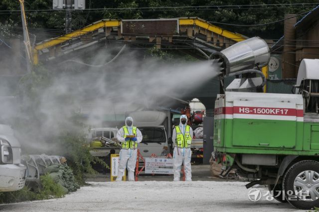 17일 오전 파주시 파평면 한 양돈농가에서 방역 관계자들이 통제 및 소독 작업을 하고 있다. 2천5백여 마리의 돼지를 키우던 이 농장에서는 지난 16일 아프리카 돼지열병(ASF)가 발병이 확인됐다. 방역당국은 곧바로 48시간 동안 파주 및 인접 4개 시·군(연천·양주·김포·고양)의 축산 관계시설 종사자 및 차량에 대해 일시 이동중지 명령을 발령하고 집중 소독을 실시하고 있다. 윤원규기자