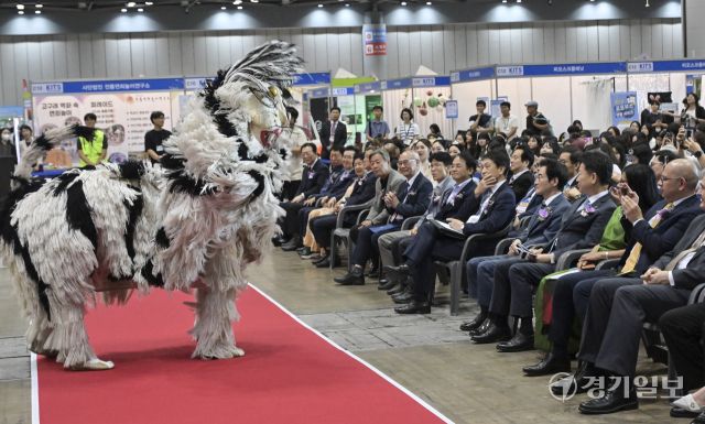 18일 오후 고양특례시 킨텍스에서 열린 '제10회 대한민국 국제 관광박람회' 개막식에서 고영인 경기도 경제부지사, 이동환 고양특례시장, 정창수 대한민국 국제 관광박람회 조직위원장, 김중석 대한민국지방신문협의회장 등이 축하공연을 즐기고 있다. 오는 21일까지 열리는 이번 행사는 도내 11개 시·군 등 약 210개 기관 및 단체가 참가해 450여개 부스를 운영해 다양한 볼거리를 제공한다. 홍기웅기자