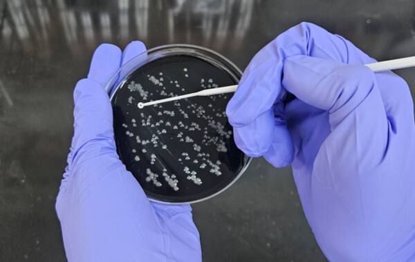 레지오넬라균 환경검사. 인천시 제공