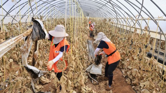 충남 예산군 수해 현장에 자원봉사자 50여 명을 파견해 침수 피해 복구 작업. 과천시 제공