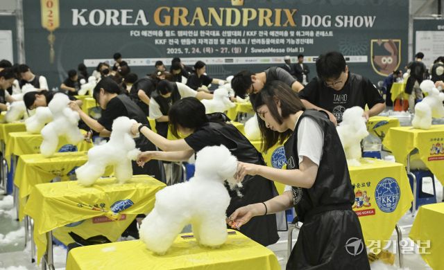 24일 오전 수원메쎄에서 열린 '2025 코리아 그랑프리 도그쇼' 수원 KKF 위그 미용 콘테스트에서 참가자들이 위그(애견 마네킹)로 미용 실력을 뽐내고 있다. 이번 행사는 애견 미용, 핸들링, 도그쇼 등 다양한 콘테스트를 오는 27일까지 즐길 수 있다. 홍기웅기자