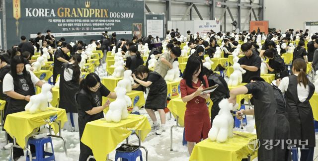 24일 오전 수원메쎄에서 열린 '2025 코리아 그랑프리 도그쇼' 수원 KKF 위그 미용 콘테스트에서 참가자들이 위그(애견 마네킹)로 미용 실력을 뽐내고 있다. 이번 행사는 애견 미용, 핸들링, 도그쇼 등 다양한 콘테스트를 오는 27일까지 즐길 수 있다. 홍기웅기자