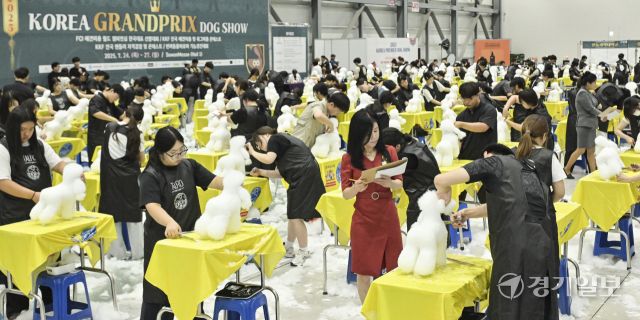 24일 오전 수원메쎄에서 열린 '2025 코리아 그랑프리 도그쇼' 수원 KKF 위그 미용 콘테스트에서 참가자들이 위그(애견 마네킹)로 미용 실력을 뽐내고 있다. 이번 행사는 애견 미용, 핸들링, 도그쇼 등 다양한 콘테스트를 오는 27일까지 즐길 수 있다. 홍기웅기자