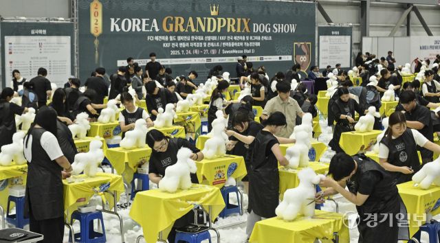 24일 오전 수원메쎄에서 열린 '2025 코리아 그랑프리 도그쇼' 수원 KKF 위그 미용 콘테스트에서 참가자들이 위그(애견 마네킹)로 미용 실력을 뽐내고 있다. 이번 행사는 애견 미용, 핸들링, 도그쇼 등 다양한 콘테스트를 오는 27일까지 즐길 수 있다. 홍기웅기자