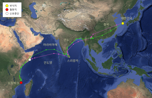 두견이 이동 경로. 한국에서 번식 후 가을 이동 경로. 환경부 제공
