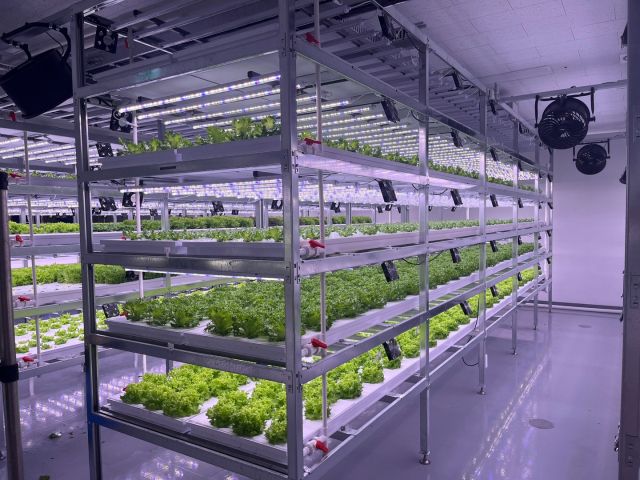 유리온실 체험농장. 과천시 제공