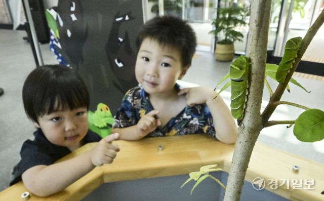 국립농업박물관, 곤충을 보다 더 가까이서 체험해봐요 [포토뉴스]