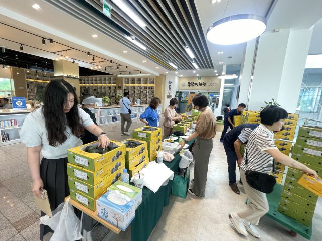 최근 인천 남동구청에서 열린 옹진자연 단호박 직거래 판매 행사장에서 남동구민들이 단호박을 살펴보고 있다. 옹진군 제공