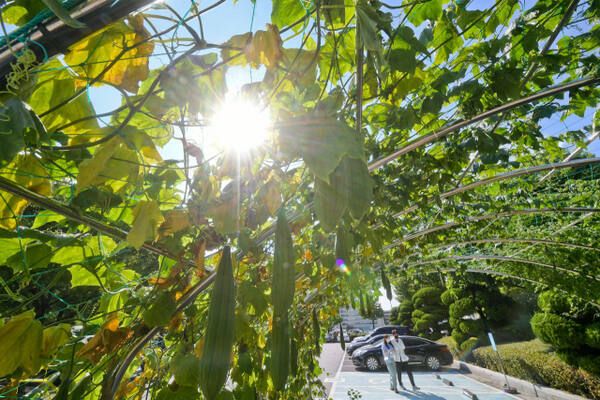 자료 사진. 경기일보DB