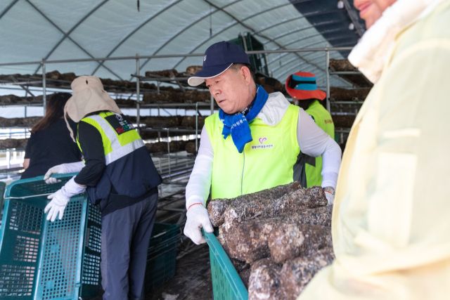 박승원 광명시장이 29일 충남 예산의 수해 농가를 찾아 피해 농작물 제거 작업을 하고 있다. 광명시 제공