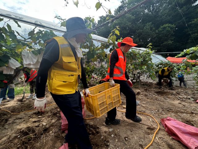 경기도자원봉사센터(이사장 윤봉남)가 31일 최근 집중호우로 큰 피해를 입은 가평 지역의 수해복구 활동에 전 직원이 참여해 복구 지원에 나섰다고 밝혔다. 경기도자원봉사센터 제공