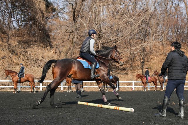 마사회, 말 이용 훈련제도 도입