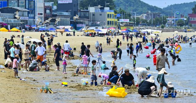 폭염에 해수욕장을 찾은 피서객들 [포토뉴스]