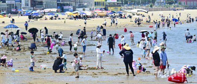 폭염에 해수욕장을 찾은 피서객들 [포토뉴스]