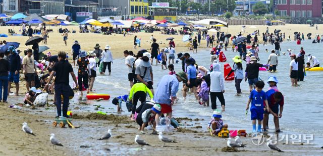 폭염에 해수욕장을 찾은 피서객들 [포토뉴스]