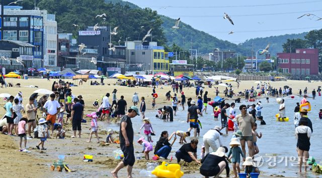 폭염에 해수욕장을 찾은 피서객들 [포토뉴스]