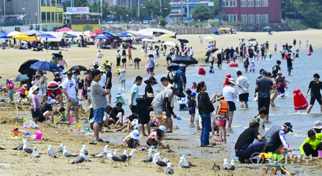 폭염에 해수욕장을 찾은 피서객들 [포토뉴스]