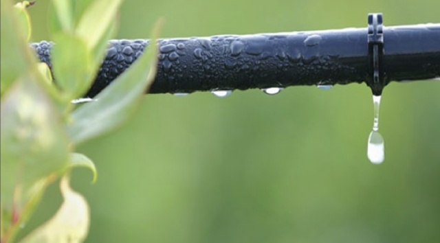 점적호스 AGREVO. STG㈜ 제공