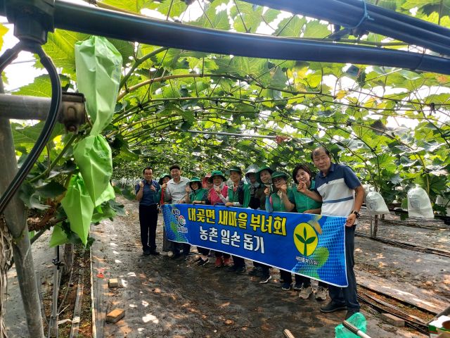 대곶면 새마을부녀회 회원들이 포도봉지 씌우기 봉사활동을 마친 뒤, 기념사진을 촬영하고 있다. 대곶면사무소 제공
