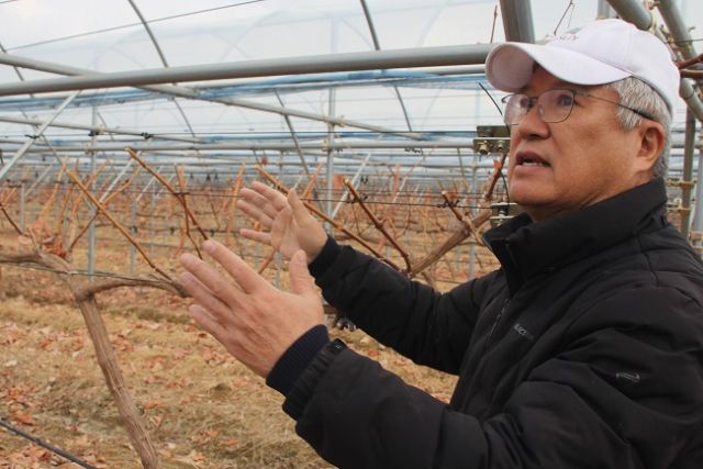 도서 ‘DMZ 평화와인’의 저자 김덕배씨. 본인 제공