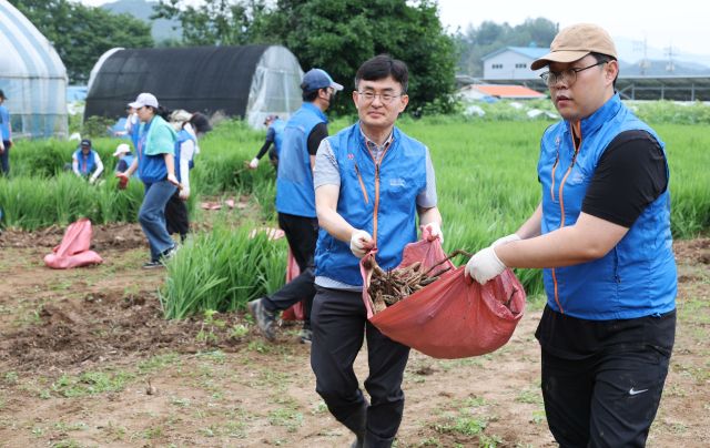 김현곤 경기도경제과학진흥원장(왼쪽)이 11일 매주 예정된 간부회의 대신 임직원과 함께 가평 수해 현장을 찾아 봉사활동을 하고 있다. 경과원 제공.