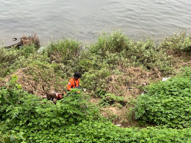 가평군 집중호우 실종자 수색현장 모습. 경기도북부소방재난본부 제공