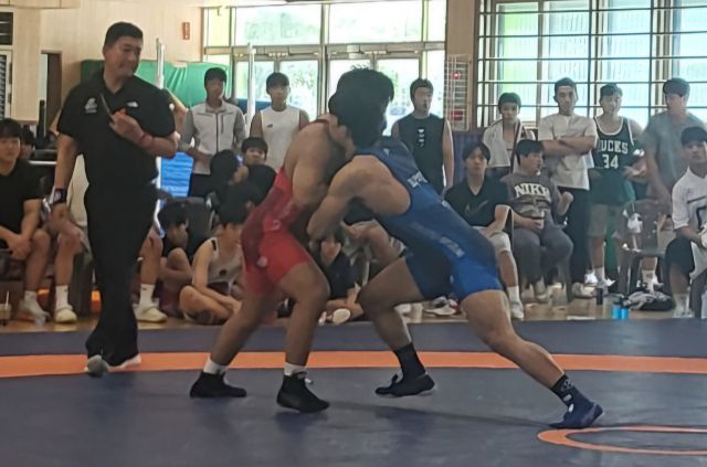 12일 수성중 체육관에서 2025년 경기도협회장배 레슬링대회가 치러지고 있다. 경기도레슬링협회 제공