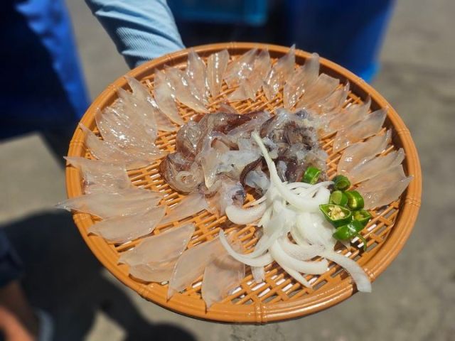 속초시청 자유게시판에 올라온 ‘오징어 난전 갔다가 너무 화가 나네요’라는 제목의 게시글에 첨부된 오징어 회 사진. 글쓴이에 따르면 오징어 난전에서는 “요즘 오징어 안 잡힌다”며 마리당 2만8천원, 두 마리에 5만6천원을 불렀다. 속초시청 자유게시판