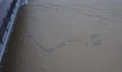 고양 공릉천 원당교 일대 수위. 한강홍수통제소 제공