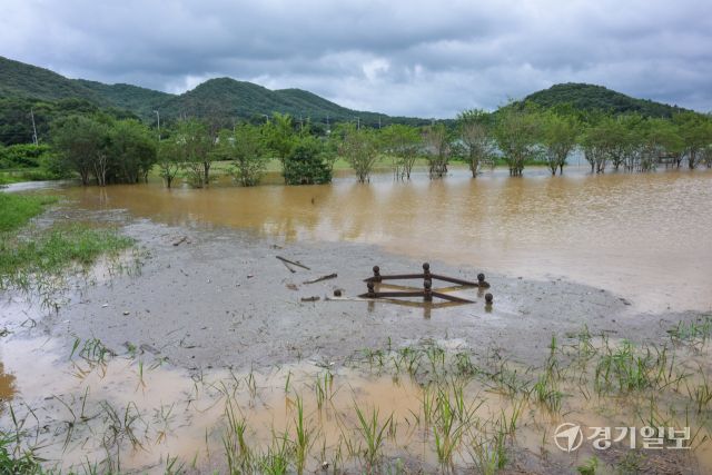 14일 오후 파주시 한 공원이 침수돼 물바다가 돼 있다. 지난 13일부터 이날까지 이틀 사이 파주에는 317mm가 넘는 비가 내리고, 동두천, 연천에도 270mm가 넘는 폭우가 내려 곳곳에서 침수 등 피해가 발생했다. 윤원규기자